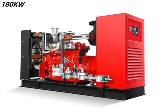 --180kw China Natural Gas Generator Manufacturer/Biogas/LPG/CNG/Biomass/Syngas Generator Factory Price for Oil&Gas Extraction/Power Plant